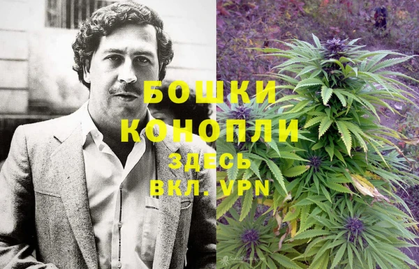 PSILOCYBIN Алексин