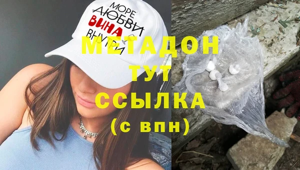 стаф Алзамай