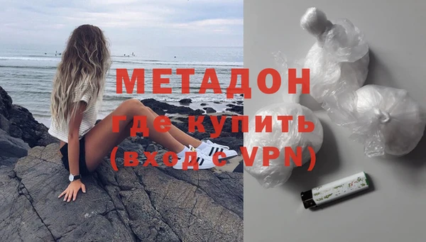 стаф Алзамай
