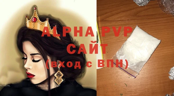 стаф Алзамай