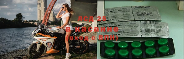PSILOCYBIN Алексин