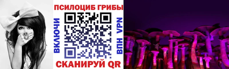 Псилоцибиновые грибы Magic Shrooms  гидра зеркало  Слюдянка 